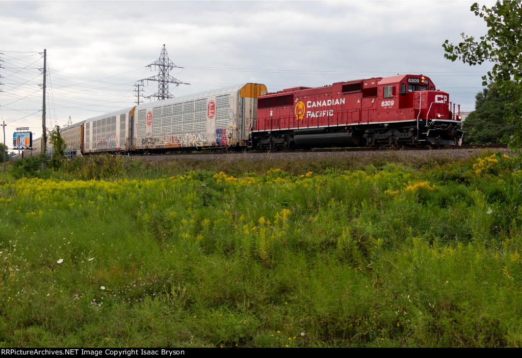 CP 6309